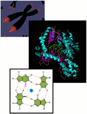 Molecular Interactions front page 